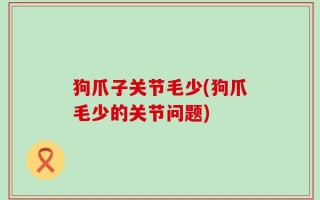 狗爪子关节毛少(狗爪毛少的关节问题)