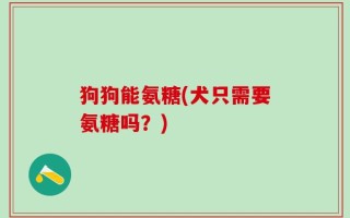 狗狗能氨糖(犬只需要氨糖吗？)