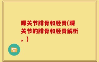 踝关节腓骨和胫骨(踝关节的腓骨和胫骨解析。)