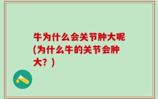 牛为什么会关节肿大呢(为什么牛的关节会肿大？)