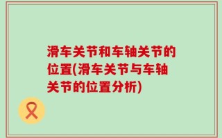 滑车关节和车轴关节的位置(滑车关节与车轴关节的位置分析)