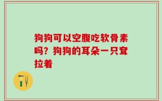 狗狗可以空腹吃软骨素吗？狗狗的耳朵一只耷拉着