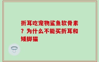 折耳吃宠物鲨鱼软骨素？为什么不能买折耳和矮脚猫