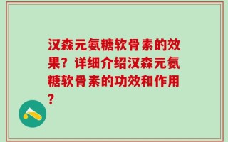 汉森元氨糖软骨素的效果？详细介绍汉森元氨糖软骨素的功效和作用？