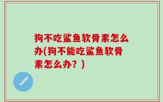狗不吃鲨鱼软骨素怎么办(狗不能吃鲨鱼软骨素怎么办？)