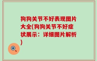 狗狗关节不好表现图片大全(狗狗关节不好症状展示：详细图片解析)