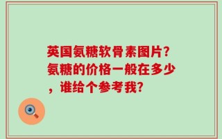 英国氨糖软骨素图片？氨糖的价格一般在多少，谁给个参考我？