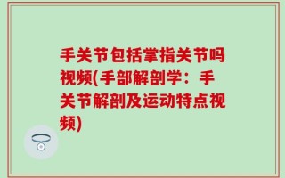 手关节包括掌指关节吗视频(手部解剖学：手关节解剖及运动特点视频)