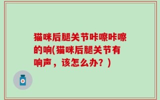 猫咪后腿关节咔嚓咔嚓的响(猫咪后腿关节有响声，该怎么办？)