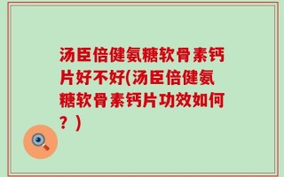 汤臣倍健氨糖软骨素钙片好不好(汤臣倍健氨糖软骨素钙片功效如何？)