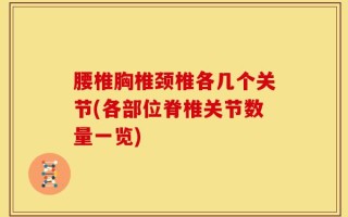 腰椎胸椎颈椎各几个关节(各部位脊椎关节数量一览)