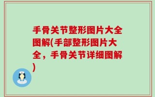手骨关节整形图片大全图解(手部整形图片大全，手骨关节详细图解)