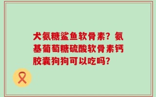犬氨糖鲨鱼软骨素？氨基葡萄糖硫酸软骨素钙胶囊狗狗可以吃吗？