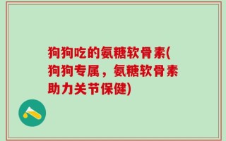 狗狗吃的氨糖软骨素(狗狗专属，氨糖软骨素助力关节保健)