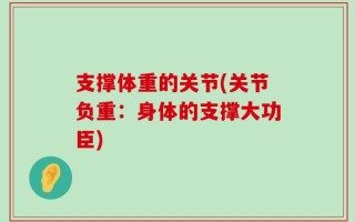 支撑体重的关节(关节负重：身体的支撑大功臣)
