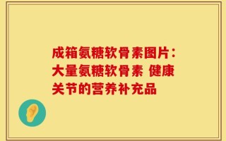 成箱氨糖软骨素图片：大量氨糖软骨素 健康关节的营养补充品