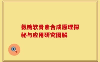 氨糖软骨素合成原理探秘与应用研究图解