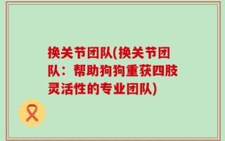 换关节团队(换关节团队：帮助狗狗重获四肢灵活性的专业团队)