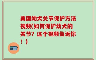 美国幼犬关节保护方法视频(如何保护幼犬的关节？这个视频告诉你！)
