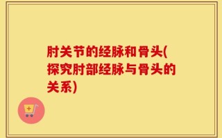 肘关节的经脉和骨头(探究肘部经脉与骨头的关系)