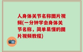 人身体关节名称图片视频(一分钟学会身体关节名称，简单易懂的图片视频教程)