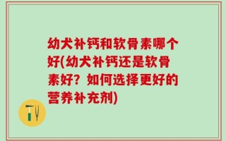幼犬补钙和软骨素哪个好(幼犬补钙还是软骨素好？如何选择更好的营养补充剂)