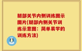 腿部关节内侧训练图示图片(腿部内侧关节训练示意图：简单易学的训练方法)