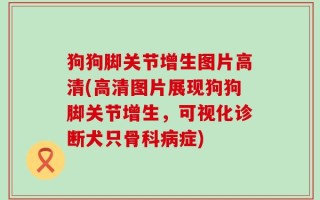 狗狗脚关节增生图片高清(高清图片展现狗狗脚关节增生，可视化诊断犬只骨科病症)