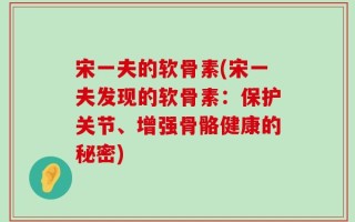 宋一夫的软骨素(宋一夫发现的软骨素：保护关节、增强骨骼健康的秘密)