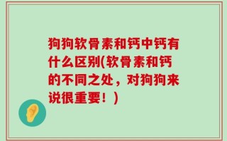 狗狗软骨素和钙中钙有什么区别(软骨素和钙的不同之处，对狗狗来说很重要！)