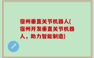 宿州垂直关节机器人(宿州开发垂直关节机器人，助力智能制造)