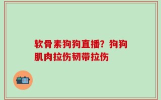 软骨素狗狗直播？狗狗肌肉拉伤韧带拉伤