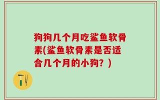 狗狗几个月吃鲨鱼软骨素(鲨鱼软骨素是否适合几个月的小狗？)