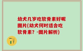 幼犬几岁吃软骨素好呢图片(幼犬何时适合吃软骨素？-图片解析)