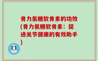骨力氨糖软骨素的功效(骨力氨糖软骨素：促进关节健康的有效助手)