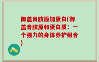 御盖骨胶原加蛋白(御盖骨胶原和蛋白质：一个强力的身体养护组合)