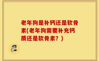 老年狗是补钙还是软骨素(老年狗需要补充钙质还是软骨素？)