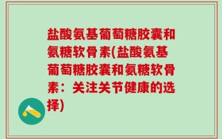 盐酸氨基葡萄糖胶囊和氨糖软骨素(盐酸氨基葡萄糖胶囊和氨糖软骨素：关注关节健康的选择)