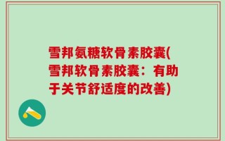 雪邦氨糖软骨素胶囊(雪邦软骨素胶囊：有助于关节舒适度的改善)