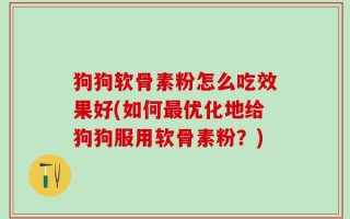 狗狗软骨素粉怎么吃效果好(如何最优化地给狗狗服用软骨素粉？)