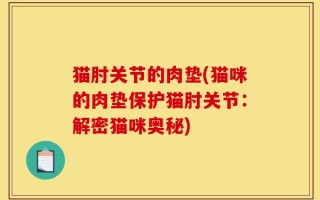 猫肘关节的肉垫(猫咪的肉垫保护猫肘关节：解密猫咪奥秘)