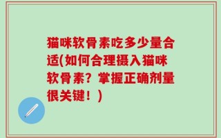 猫咪软骨素吃多少量合适(如何合理摄入猫咪软骨素？掌握正确剂量很关键！)