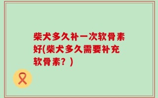 柴犬多久补一次软骨素好(柴犬多久需要补充软骨素？)