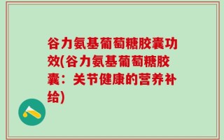 谷力氨基葡萄糖胶囊功效(谷力氨基葡萄糖胶囊：关节健康的营养补给)