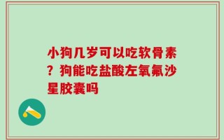 小狗几岁可以吃软骨素？狗能吃盐酸左氧氟沙星胶囊吗