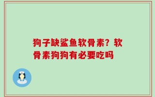 狗子缺鲨鱼软骨素？软骨素狗狗有必要吃吗