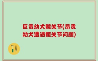 巨贵幼犬髋关节(昂贵幼犬遭遇髋关节问题)