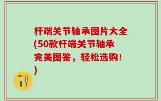 杆端关节轴承图片大全(50款杆端关节轴承完美图鉴，轻松选购！)