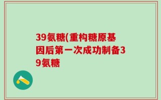39氨糖(重构糖原基因后第一次成功制备39氨糖
