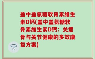 盖中盖氨糖软骨素维生素D钙(盖中盖氨糖软骨素维生素D钙：关爱骨与关节健康的多效康复方案)